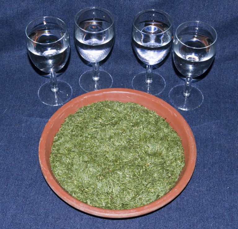 Amount of water in grass