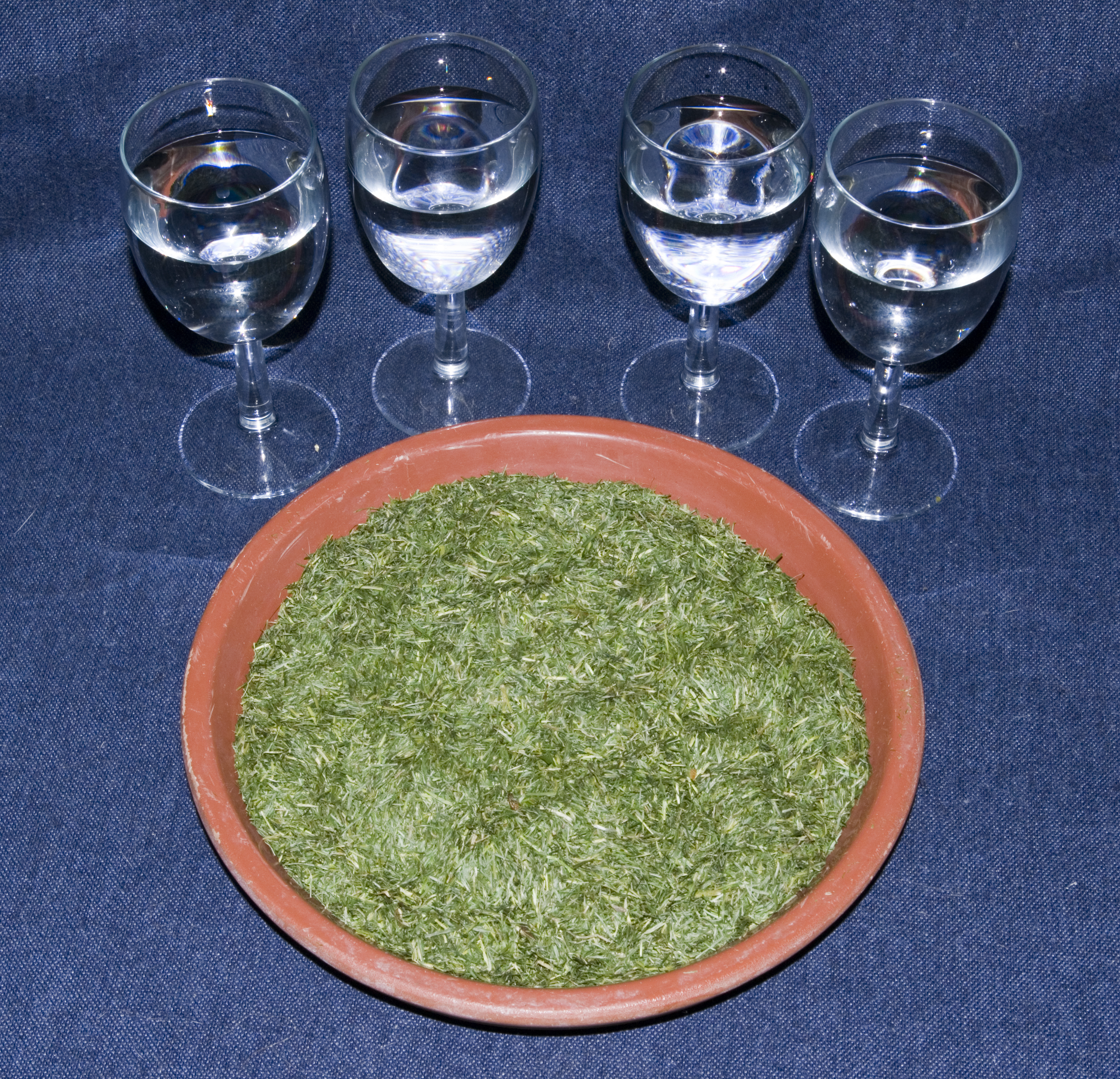 Amount of water in grass