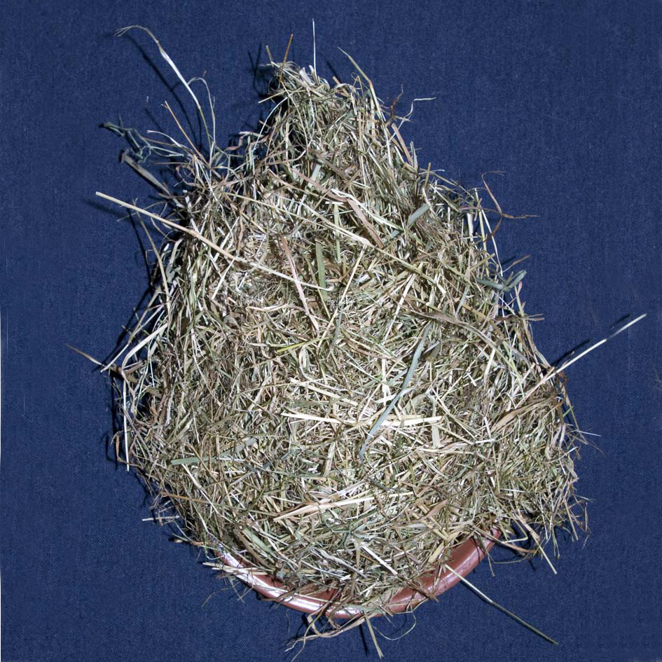 Hay (113g)