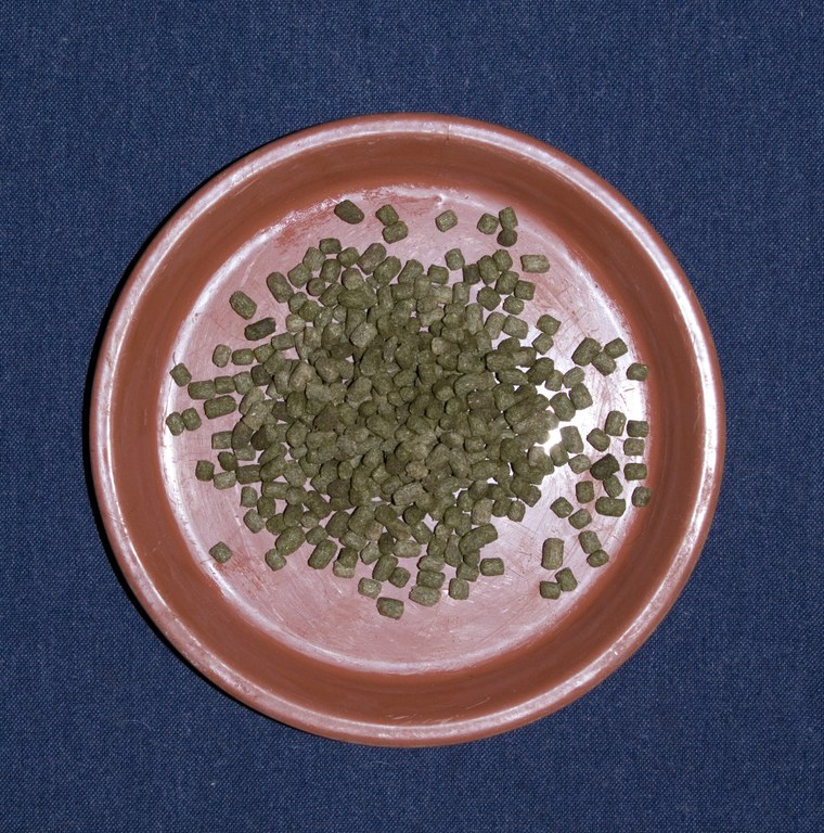 63g Nuggets ( a handful)