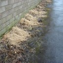 Sprayed with weedkiller